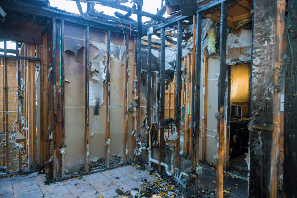 Professional Fire Damage Repair technician working in Loretto, MN