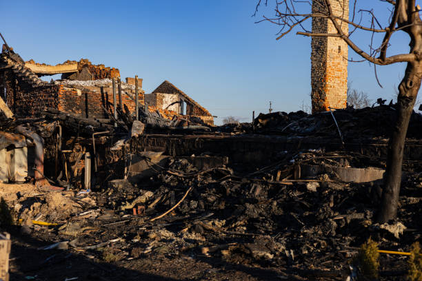 Reliable Fire Damage Repair contractor in Loretto, MN by Fire Damage Doption