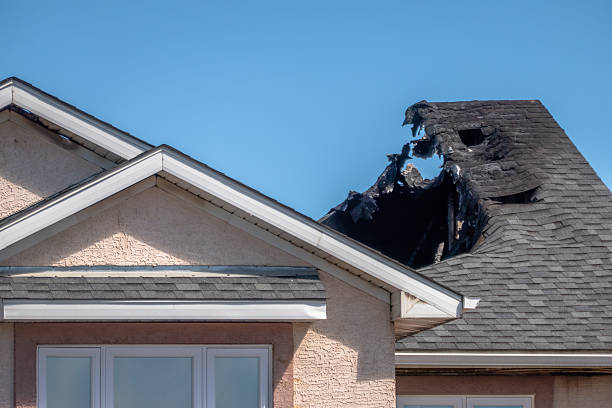 Top rated local Fire Damage Repair specialists in Loretto, MN